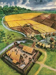 Agriculture médiévale